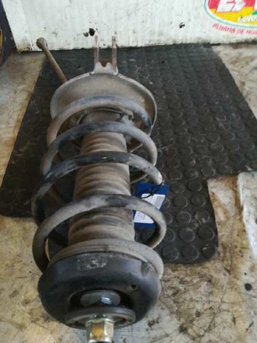5206qz 371208 front shock - front,