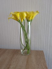 Elegant Clear Glass Tapered