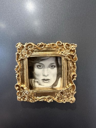 Princess diana vintage framed - diana,