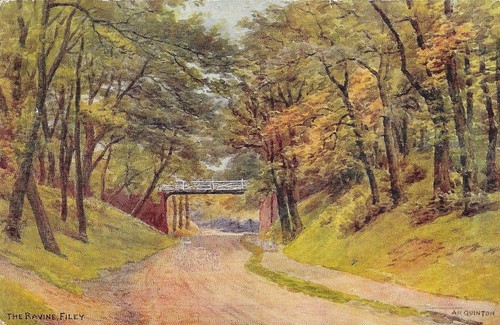 Filey the ravine postcard - ,