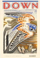 Vintage  Poster Down,  Kestrel