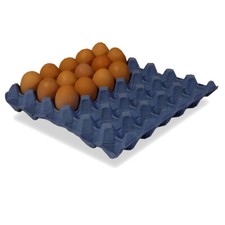 Blue cardboard egg - blue, holds