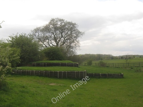 Photo 12x8 cross - cross, horse