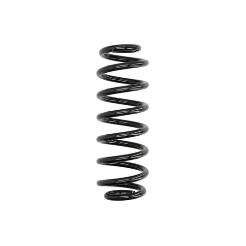 Coil spring rear fits - rear,