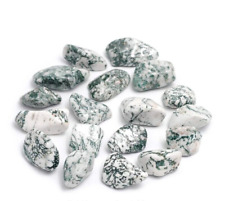 2 x Tree Agate Tumblestones Medium Premium Polished Tumblestones 20mm- 35mm