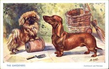 SIGNED MABEL GEAR Pekingese and Dachshund Dogs No. 5080 Postcard