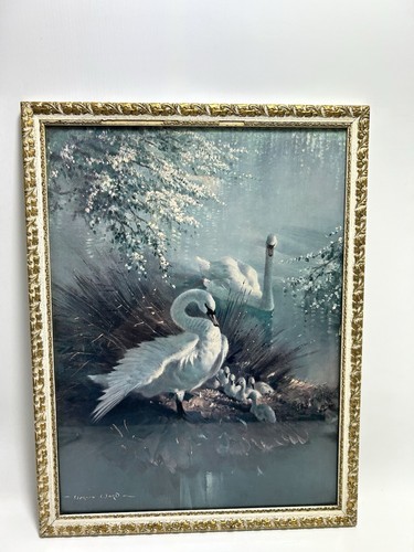 Vintage vernon ward swan print - vernon,