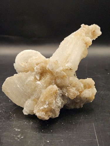 Rams horn gypsum selenite from - rams,