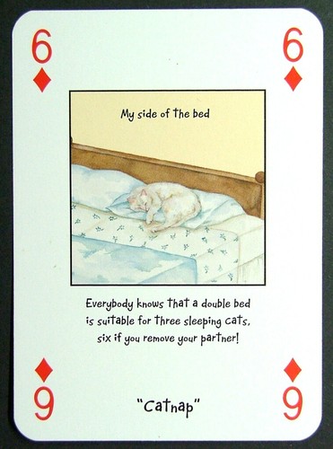 Playing card magnificent - playing,