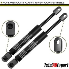 2X Lift Supports Gas Struts