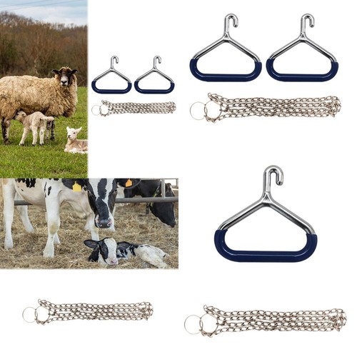 Cow apparatus for dairy - for,