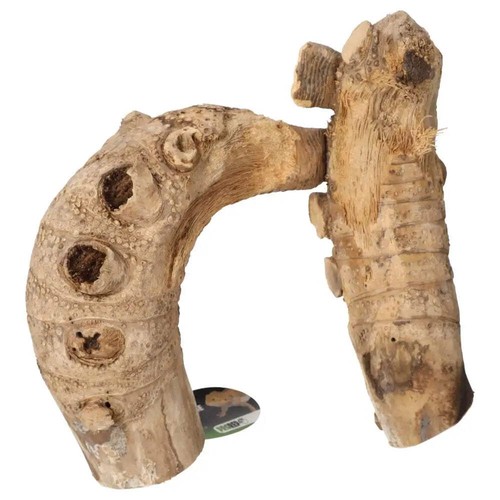 Prorep bamboo root jungle - prorep,