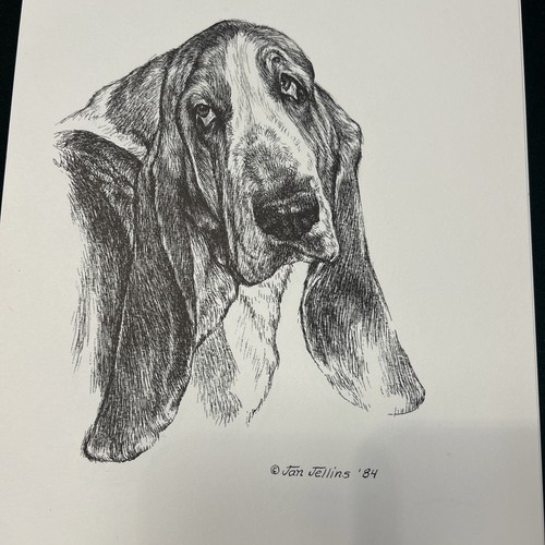 Basset hound vintage - print, by
