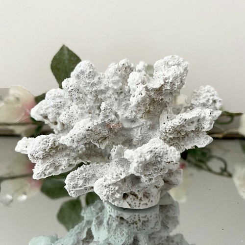 White resin faux coral - faux,