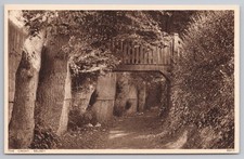 Selsey The Croat Rustic Bridge