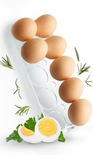 Universal Egg Holder 2252 for