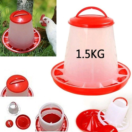 5kg plastic feeder drinker - plastic,