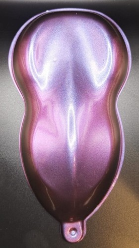 Chameleon flamingo flip - chameleon,