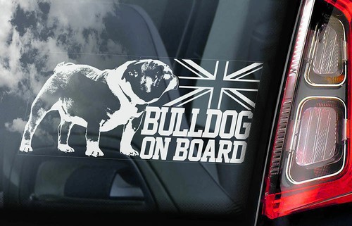 Bulldog car sticker - bulldog, on