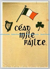 D326597 Cead Mile Failte. An Irish Greeting. One Hundred Thousand Welcomes. T. K