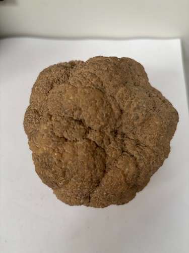 Unopened stone geode - unopened,