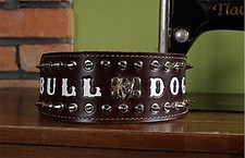American Bulldog English Bulldog OEB Rivets Collar Killer rivets 8cm wide