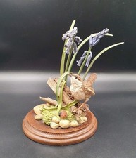 Country Artists Wren With