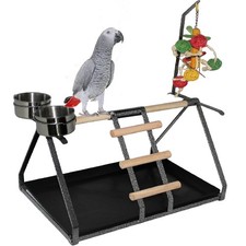 Parrot Bird Perch Table Top