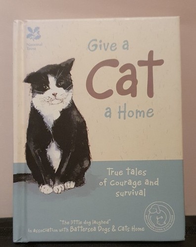 Give cat home - home:, tales