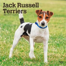 Jack Russell Terriers Calendar