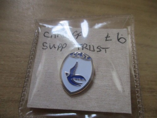 Cardiff city football - city,