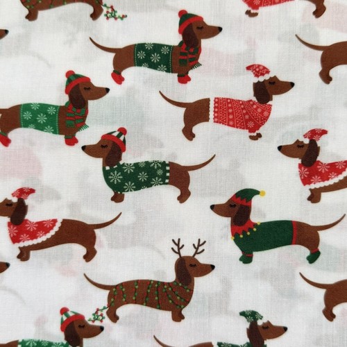Sausage dog dachshund - sausage,