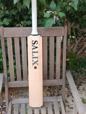 2020 Salix AJK Players Cricket