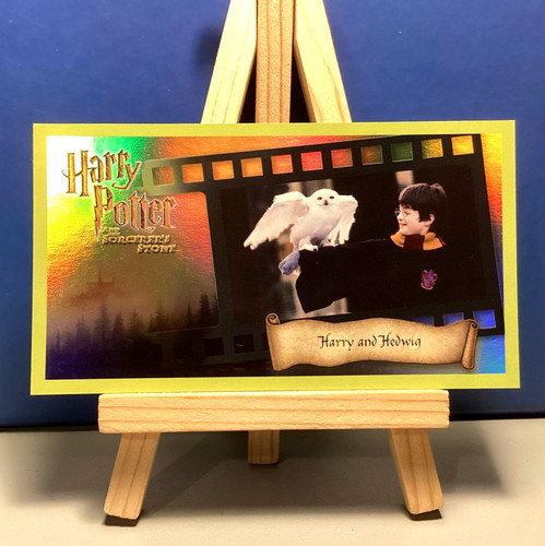 Harry potter hedwig - harry, sorcerors