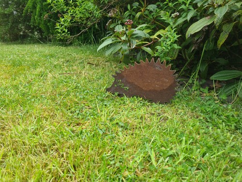 Rusty metal hedgehog garden - rusty,