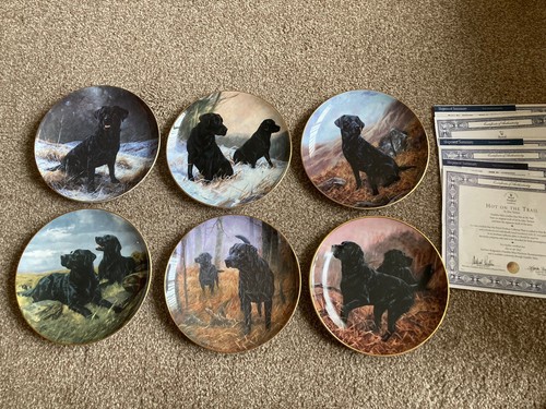 Royal doulton franklin - x,