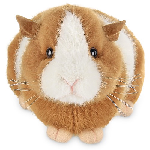 Bearington ginny guinea pig - guinea,