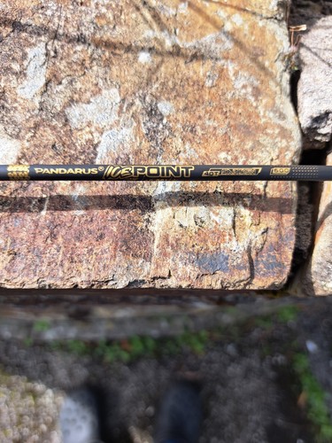 Pandarus icepoint gold - 11,