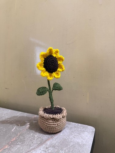 Crochet sunflower plant - crochet,