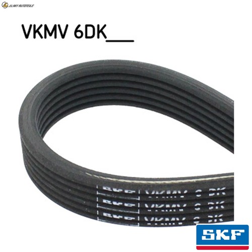 Ribbed belt vkmv - belt, 6dk1853