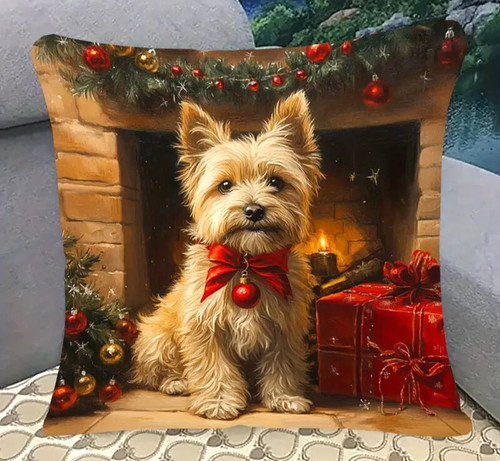 Scottish cairn terrier dog - scottish,