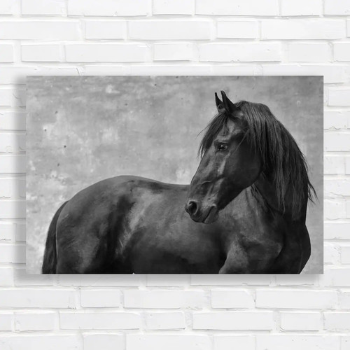 Optimizing horse stallion - optimizing,
