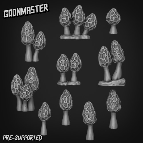 Morchella galilaea basing - morchella,