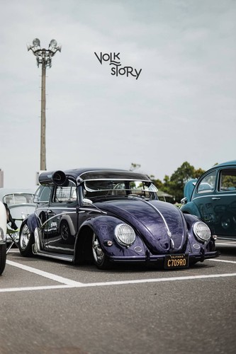 Beetle bug external - vw,