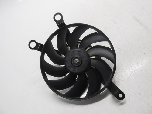 Suzuki gsf 650 2007 - gsf,