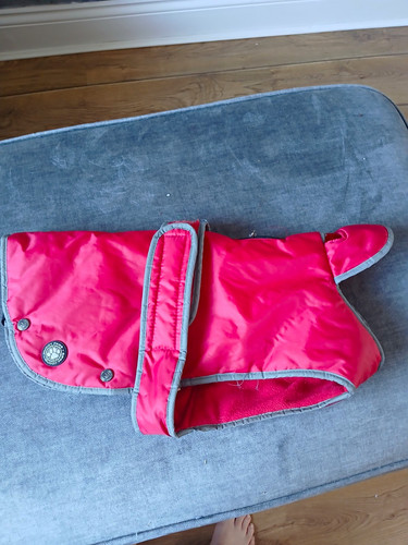 Muddy paws reflective red - red, &