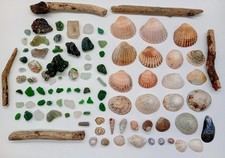 English Beach Combing Finds For Crafting With Sea Glass, Driftwood & Shells