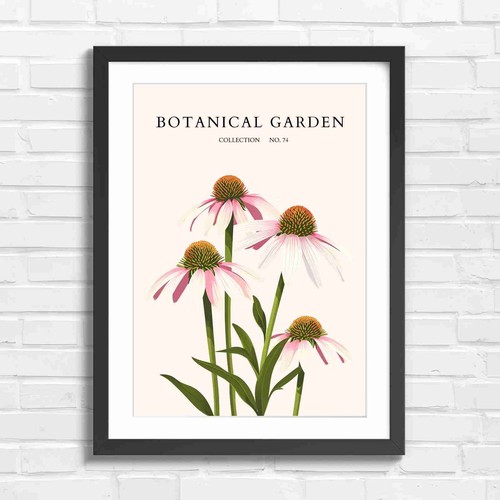 Botanical garden coneflowers - garden,