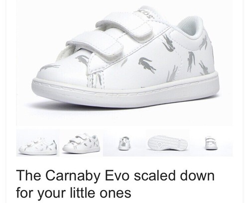 Lacoste carnaby evo white - lacoste,