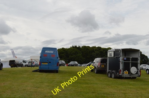 Photo 6x4 stafford - stafford, horse